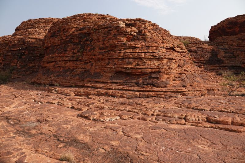 Viewing photos→2023→2023-10-31→136