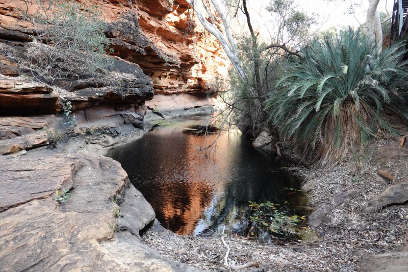 Viewing photos→2023→2023-10-31→140