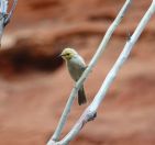 142.jpeg - 2023:11:01 23:02:55