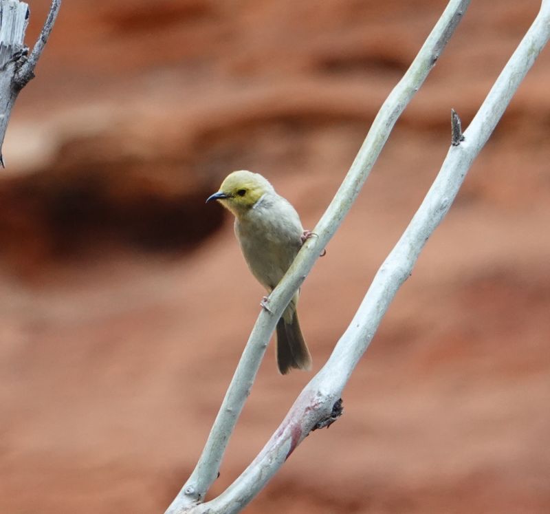 Viewing photos→2023→2023-10-31→142