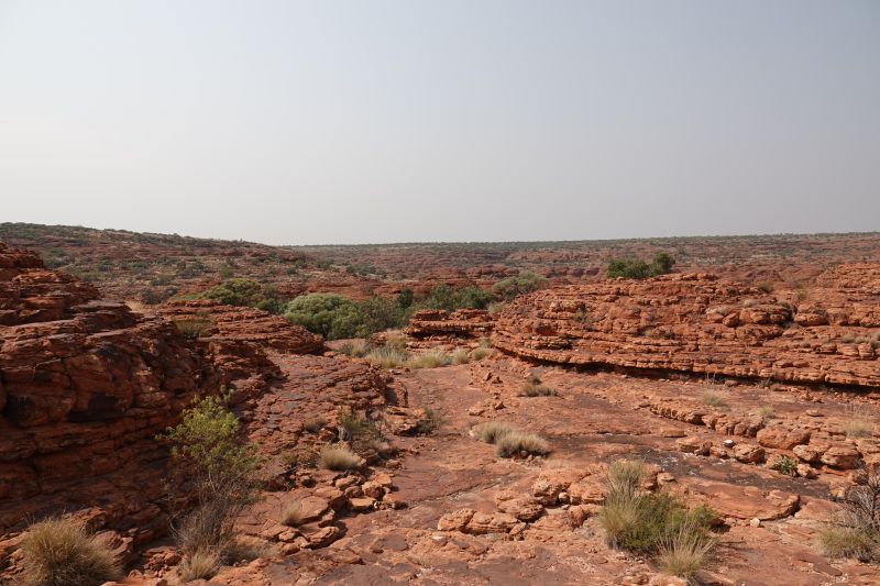 Viewing photos→2023→2023-10-31→151