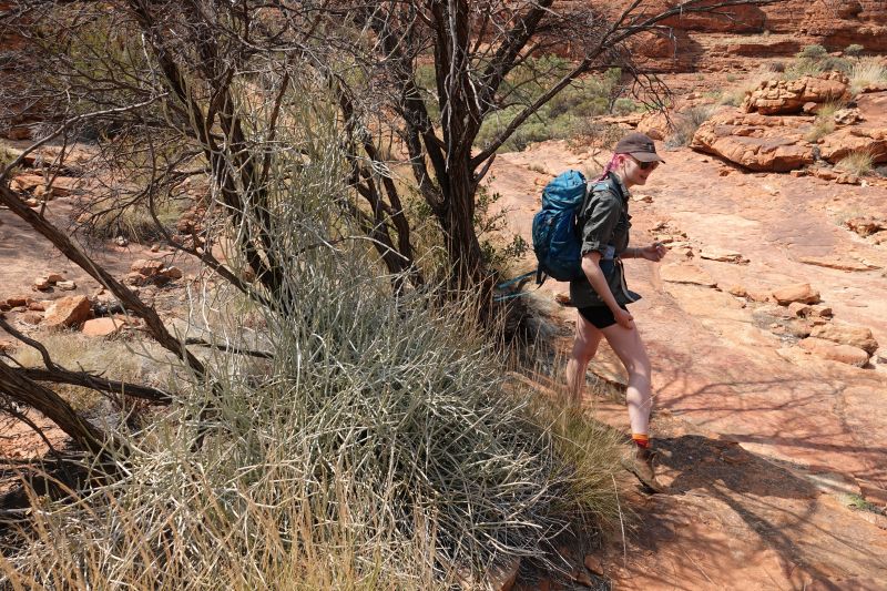 Viewing photos→2023→2023-10-31→154