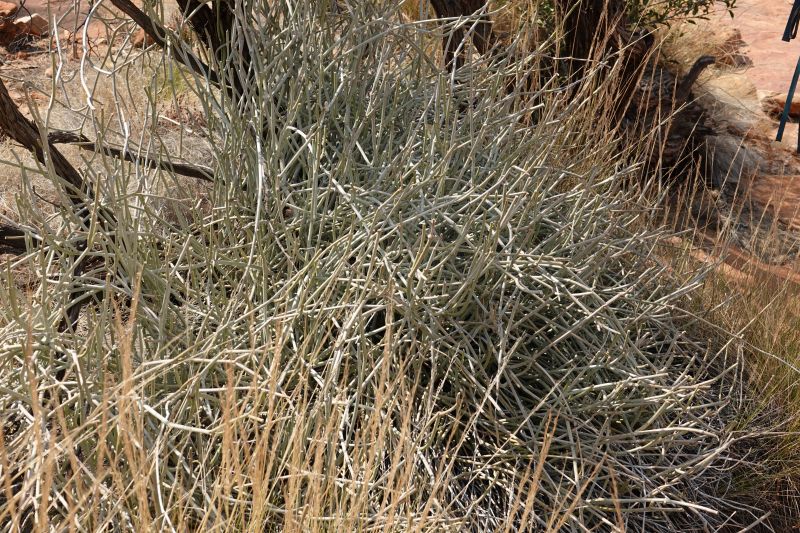 Viewing photos→2023→2023-10-31→155