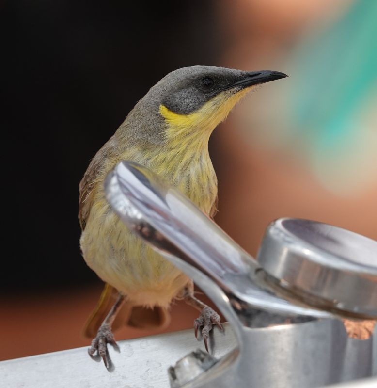 Viewing photos→2023→2023-10-31→159