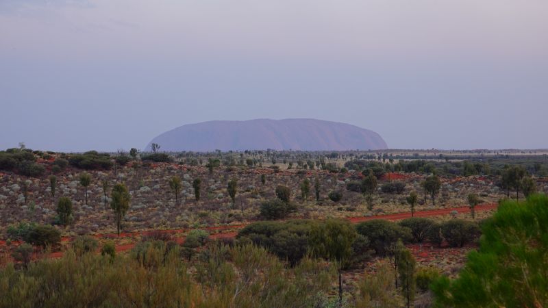 Viewing photos→2023→2023-10-31→161