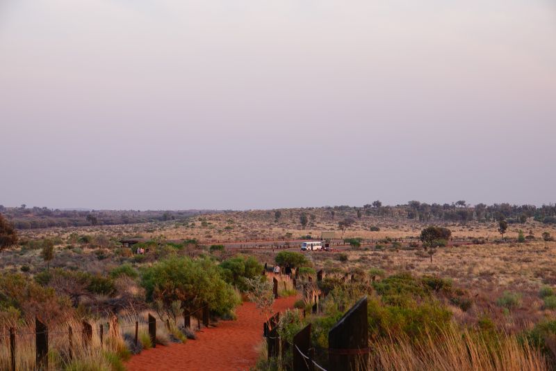 Viewing photos→2023→2023-10-31→167