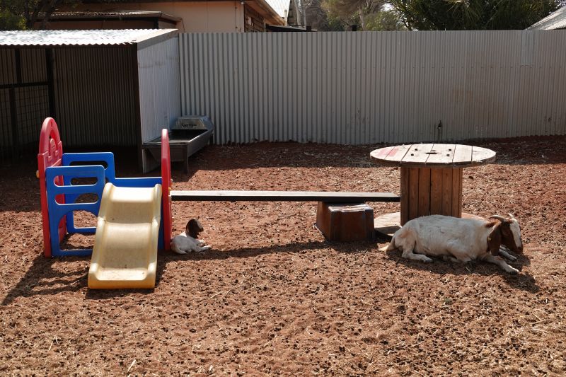 Viewing photos→2023→2023-10-31→173