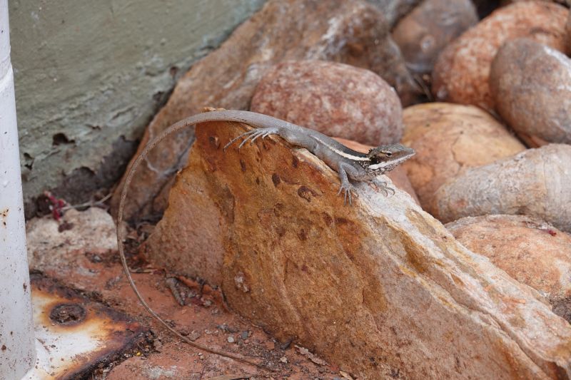 Viewing photos→2023→2023-10-31→177