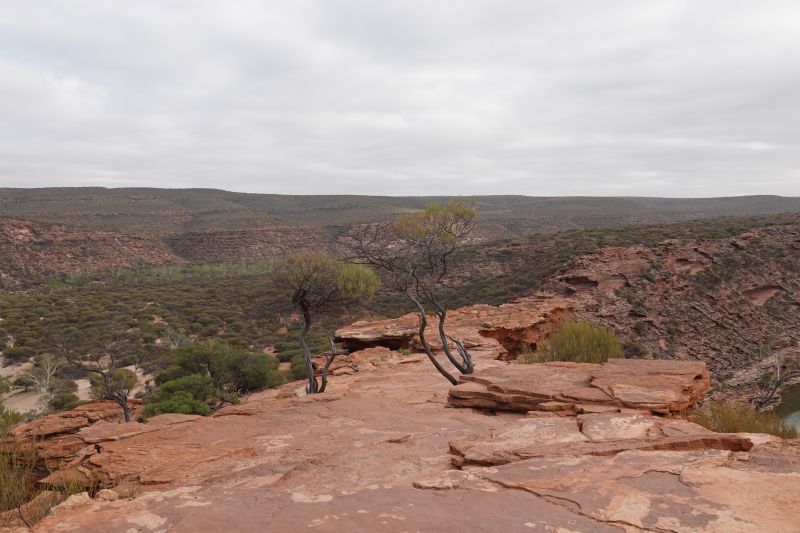 Viewing photos→2023→2023-11-05→07