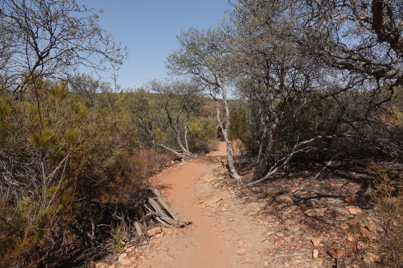 Viewing photos→2023→2023-11-05→29