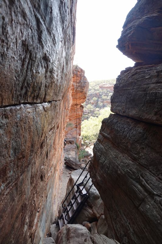 Viewing photos→2023→2023-11-05→33