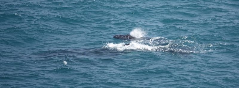 Viewing photos→2023→2023-11-05→38