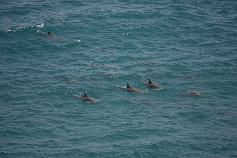 Viewing photos→2023→2023-11-05→41