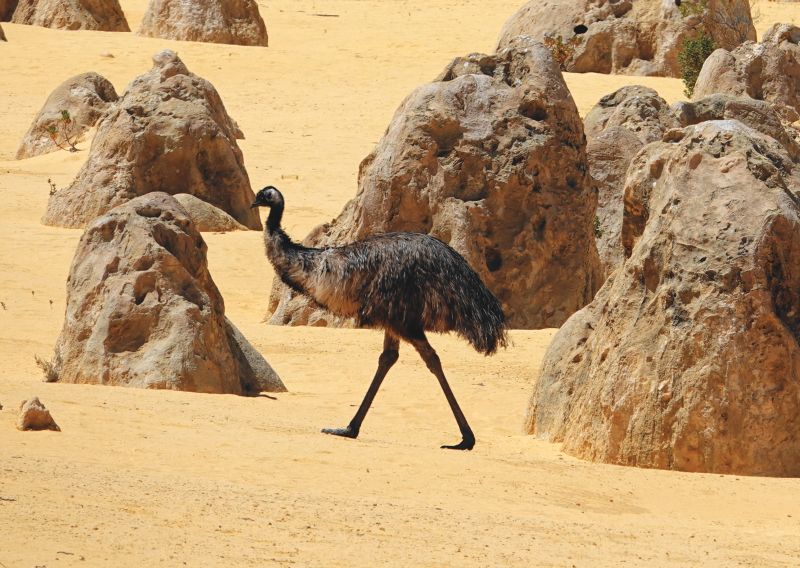 Viewing photos→2023→2023-11-05→58