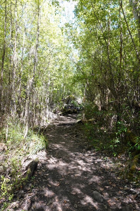 Viewing photos→2023→2023-11-08→01