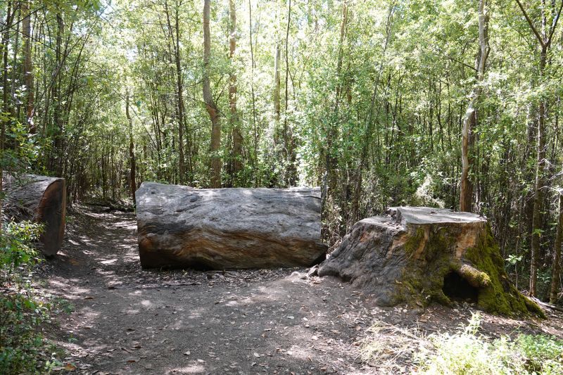 Viewing photos→2023→2023-11-08→02