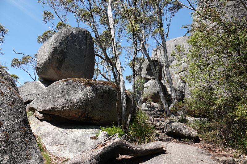 Viewing photos→2023→2023-11-08→03