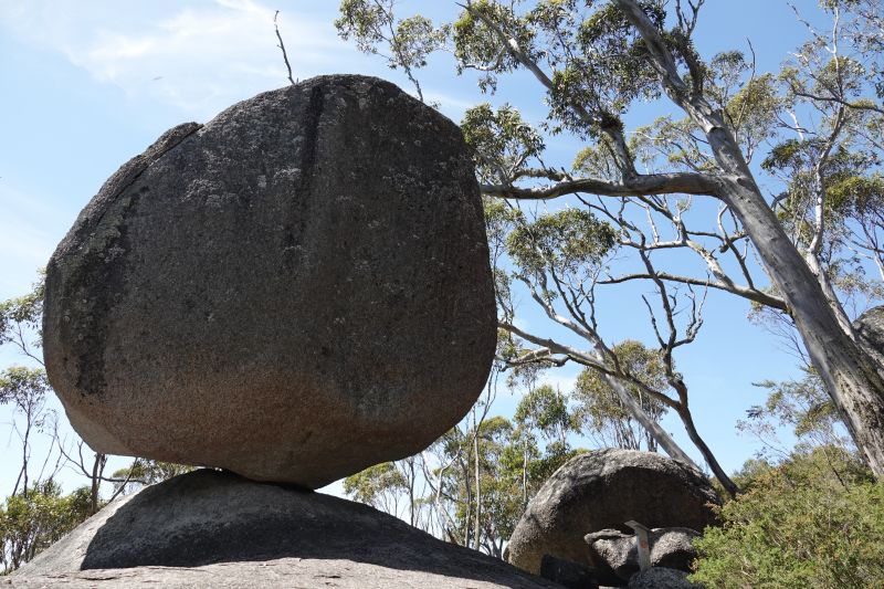 Viewing photos→2023→2023-11-08→04