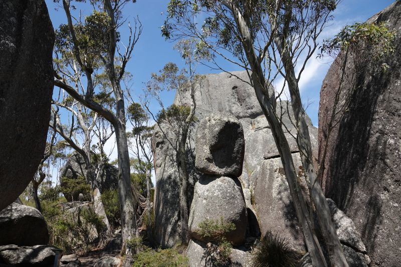 Viewing photos→2023→2023-11-08→05