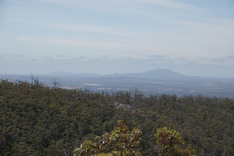 Viewing photos→2023→2023-11-08→08