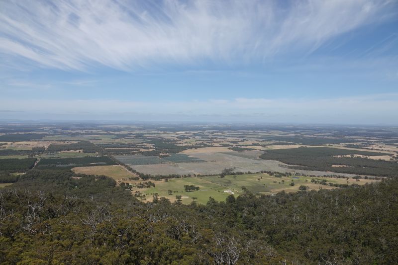 Viewing photos→2023→2023-11-08→10