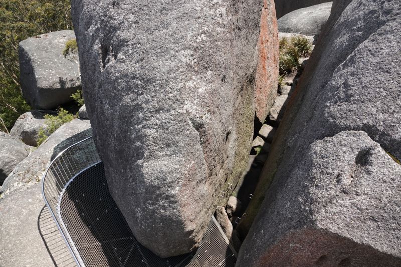 Viewing photos→2023→2023-11-08→11