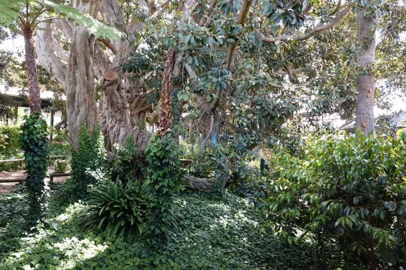 Viewing photos→2023→2023-11-08→19