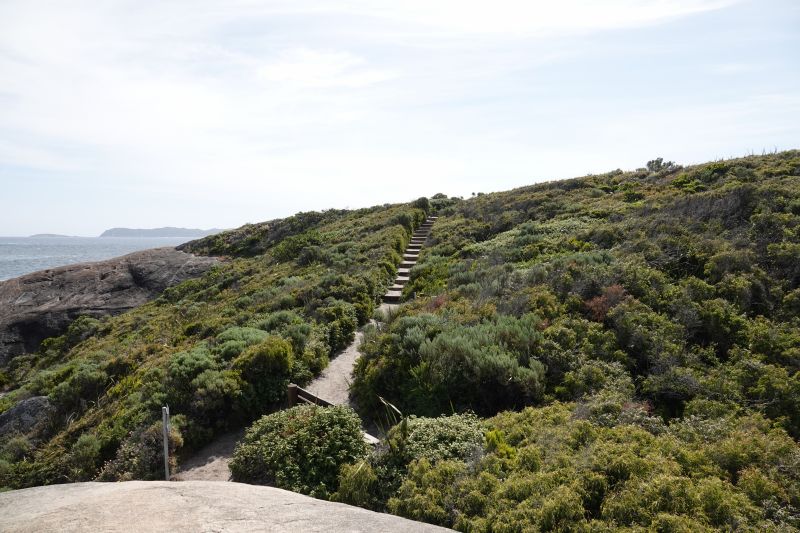 Viewing photos→2023→2023-11-08→31