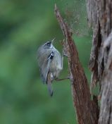 35.jpeg - 2023:11:08 07:46:21