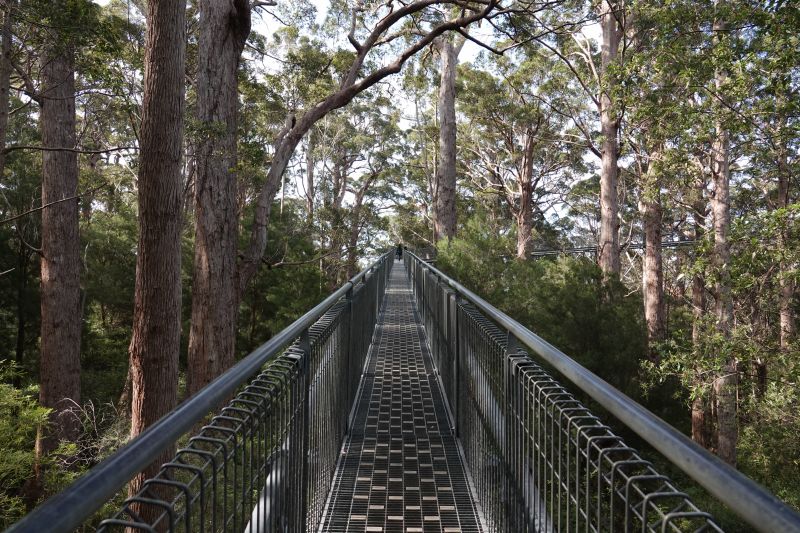 Viewing photos→2023→2023-11-08→36