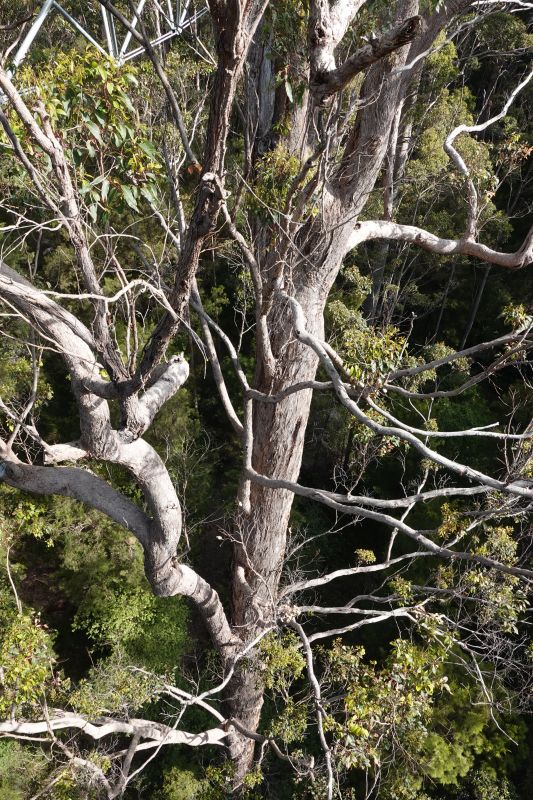 Viewing photos→2023→2023-11-08→39