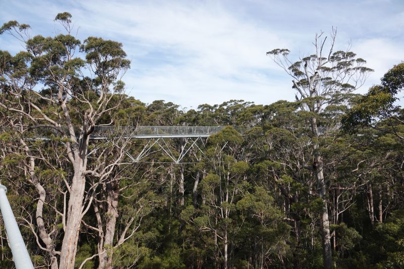 Viewing photos→2023→2023-11-08→40