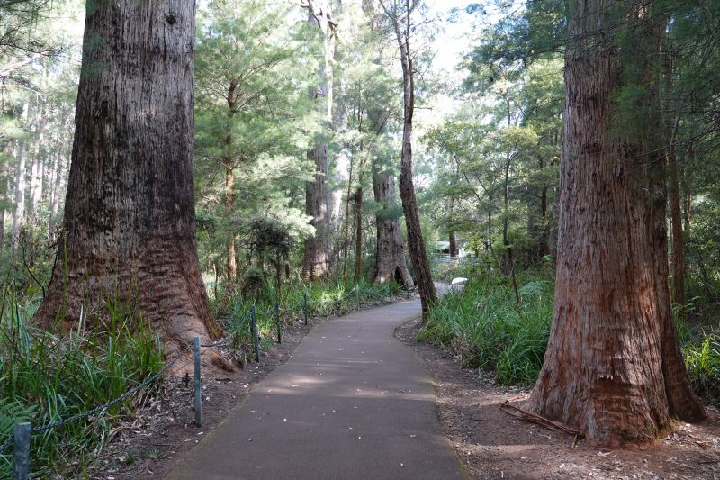 Viewing photos→2023→2023-11-08→42