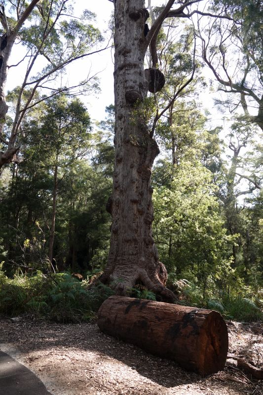 Viewing photos→2023→2023-11-08→43