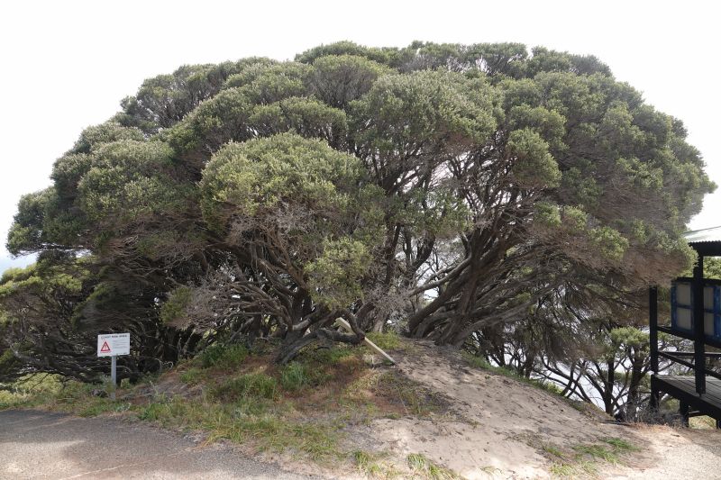 Viewing photos→2023→2023-11-08→47