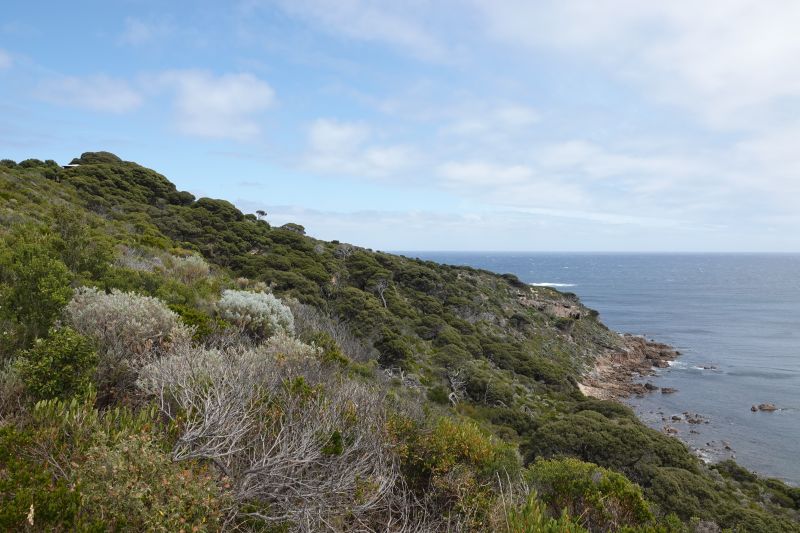 Viewing photos→2023→2023-11-08→49