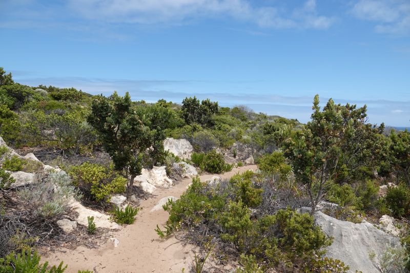 Viewing photos→2023→2023-11-08→53