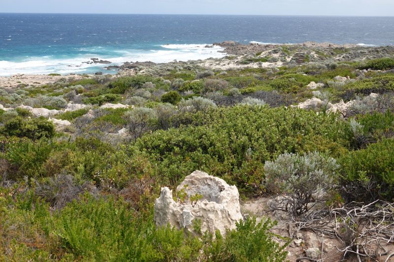 Viewing photos→2023→2023-11-08→55