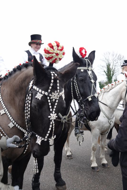 Viewing photos→2024→2024-02-11→05