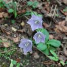 21.jpg - 2024:05:23 13:33:58