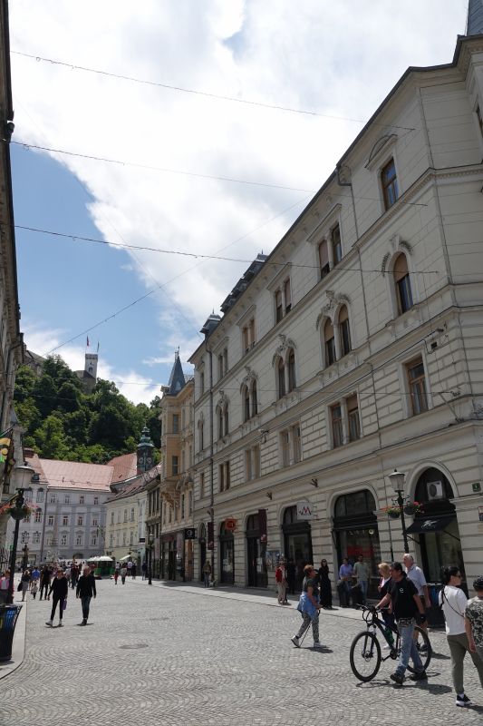 Viewing photos→2024→2024-05-25→09