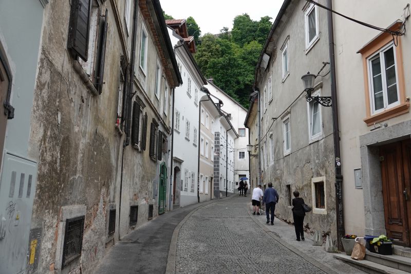 Viewing photos→2024→2024-05-25→39