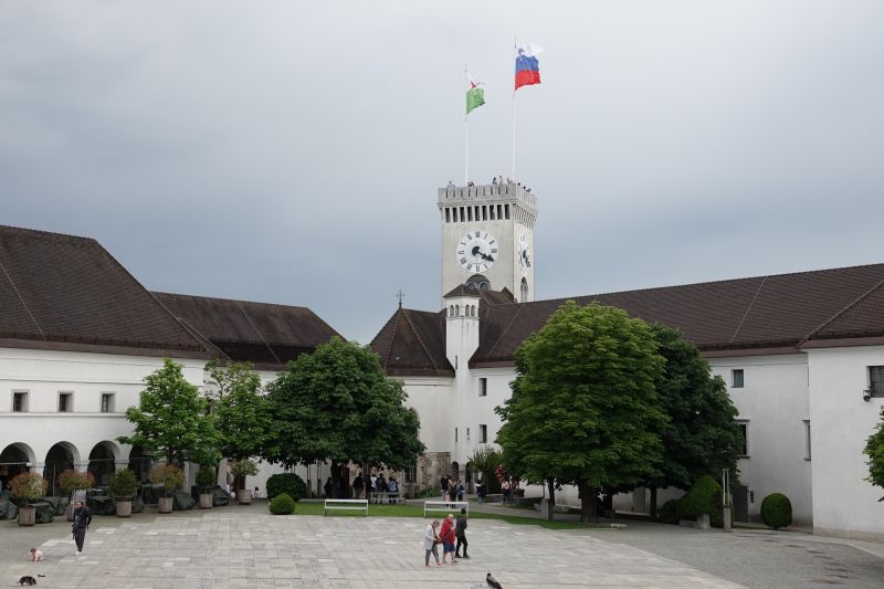 Viewing photos→2024→2024-05-25→44