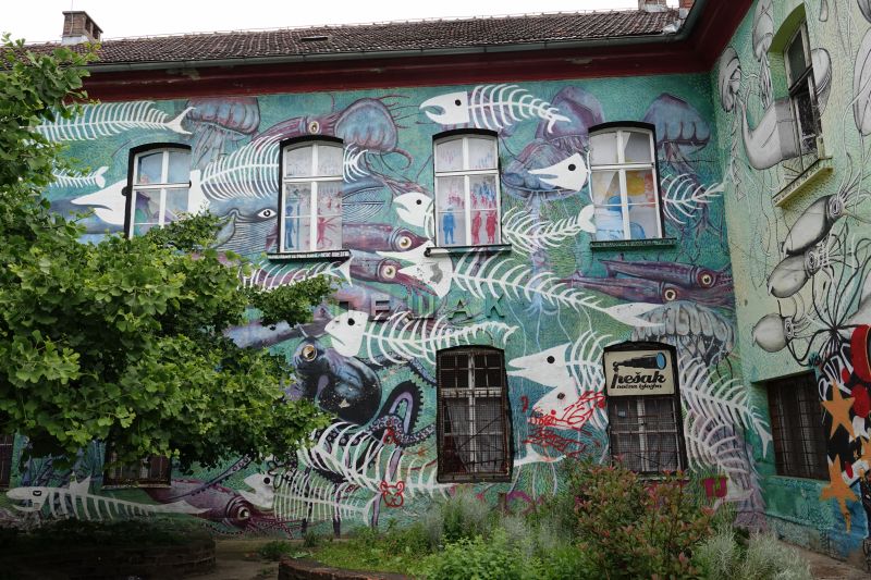 Viewing photos→2024→2024-05-25→55