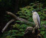 09.jpeg - 2024:05:26 08:56:56