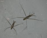 11.jpeg - 2024:05:26 09:02:23