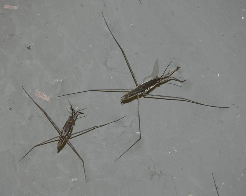 Viewing photos→2024→2024-05-26→11