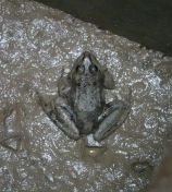 15.jpeg - 2024:05:26 09:30:24