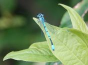 29.jpeg - 2024:05:26 10:32:05