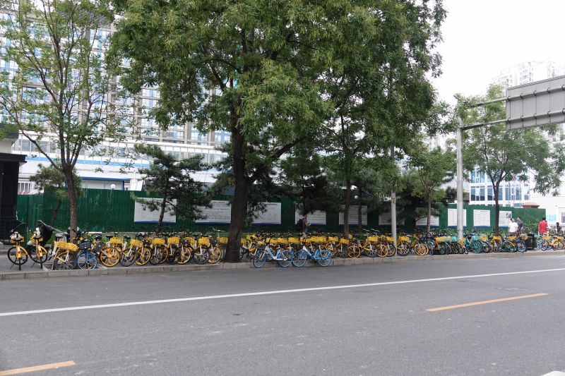 Viewing photos→2024→2024-08-25→008